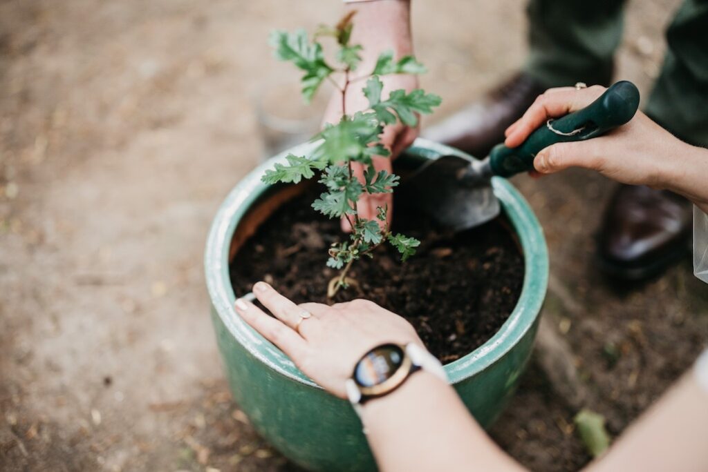 How to do a Tree Planting Ritual at your Wedding Ceremony