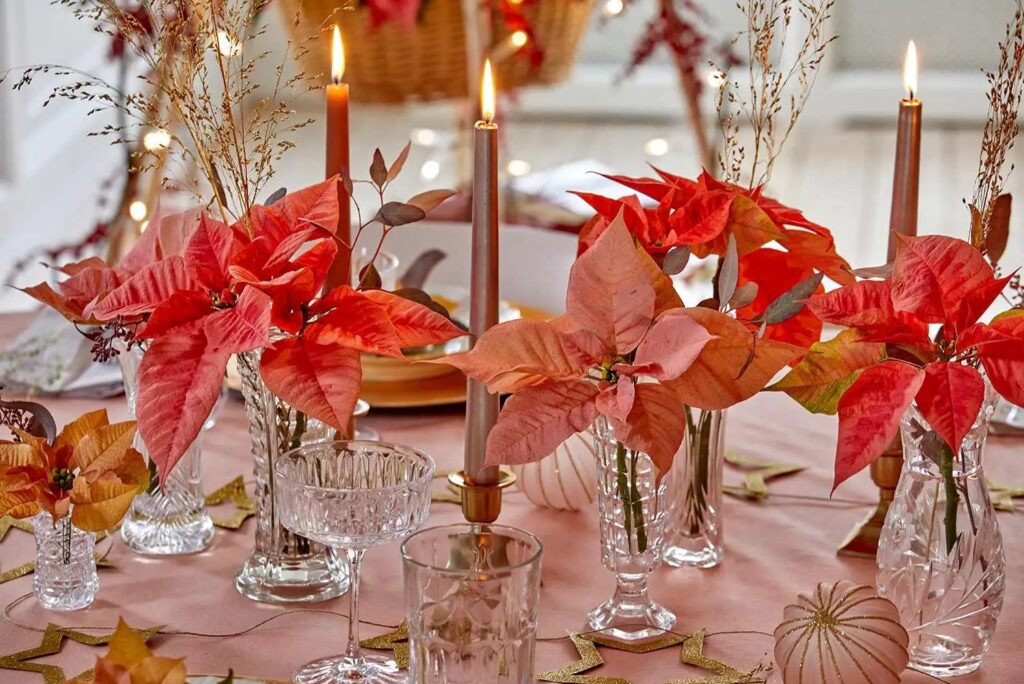 27 Christmas Wedding Decor & Winter Styling Ideas