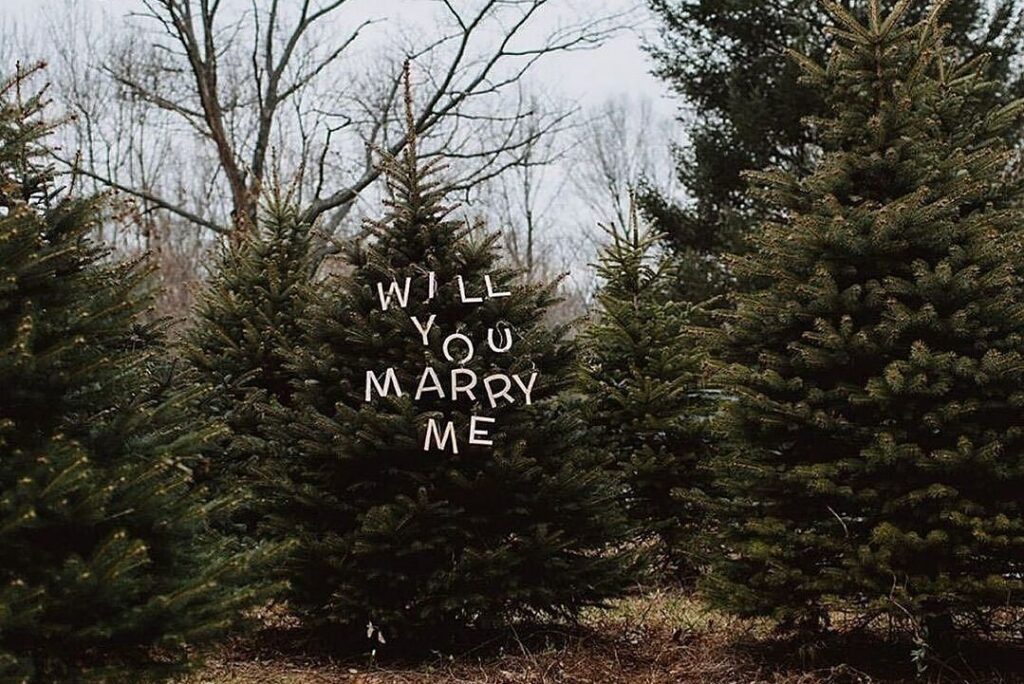 15 Cute Christmas Proposal Ideas