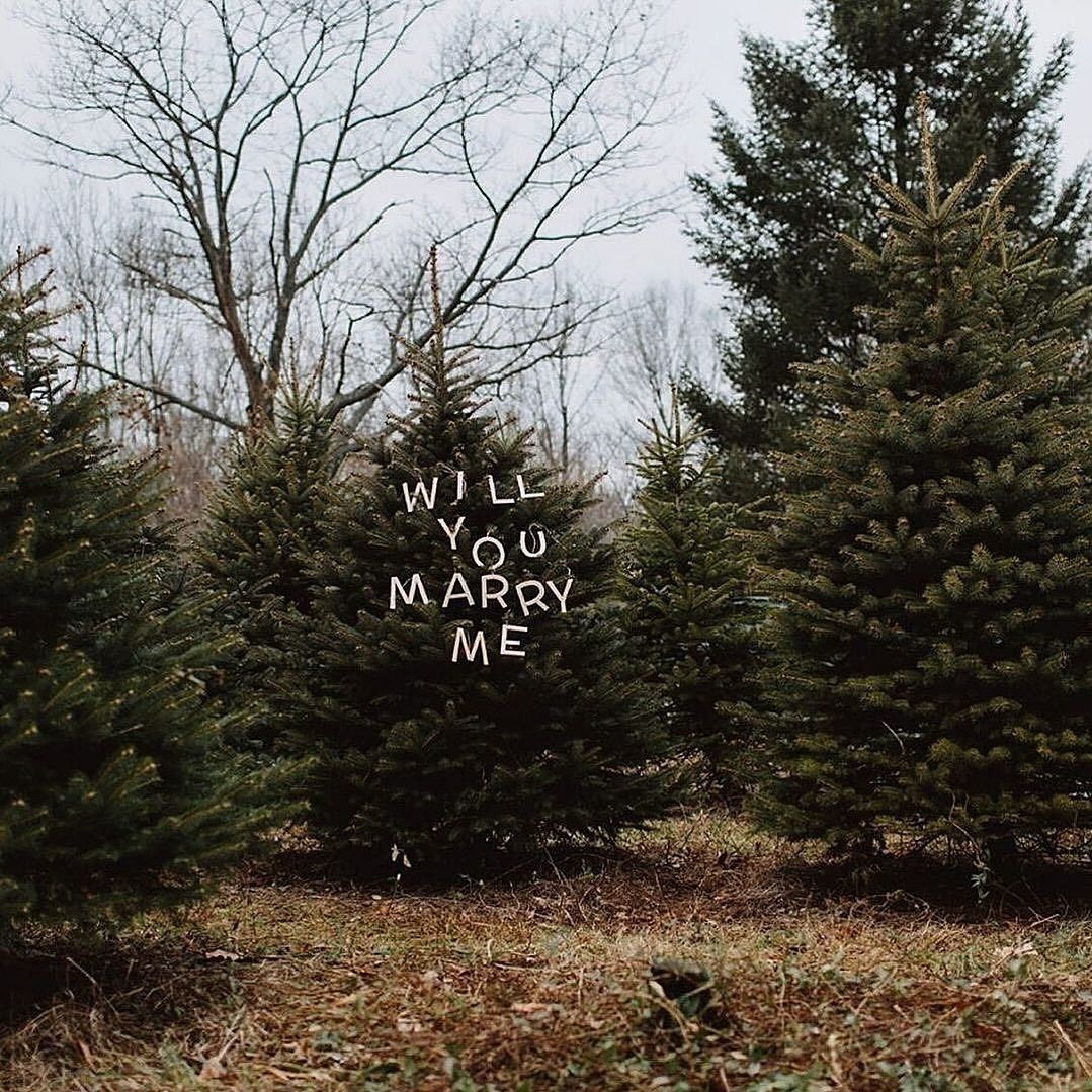 15 Cute Christmas Proposal Ideas