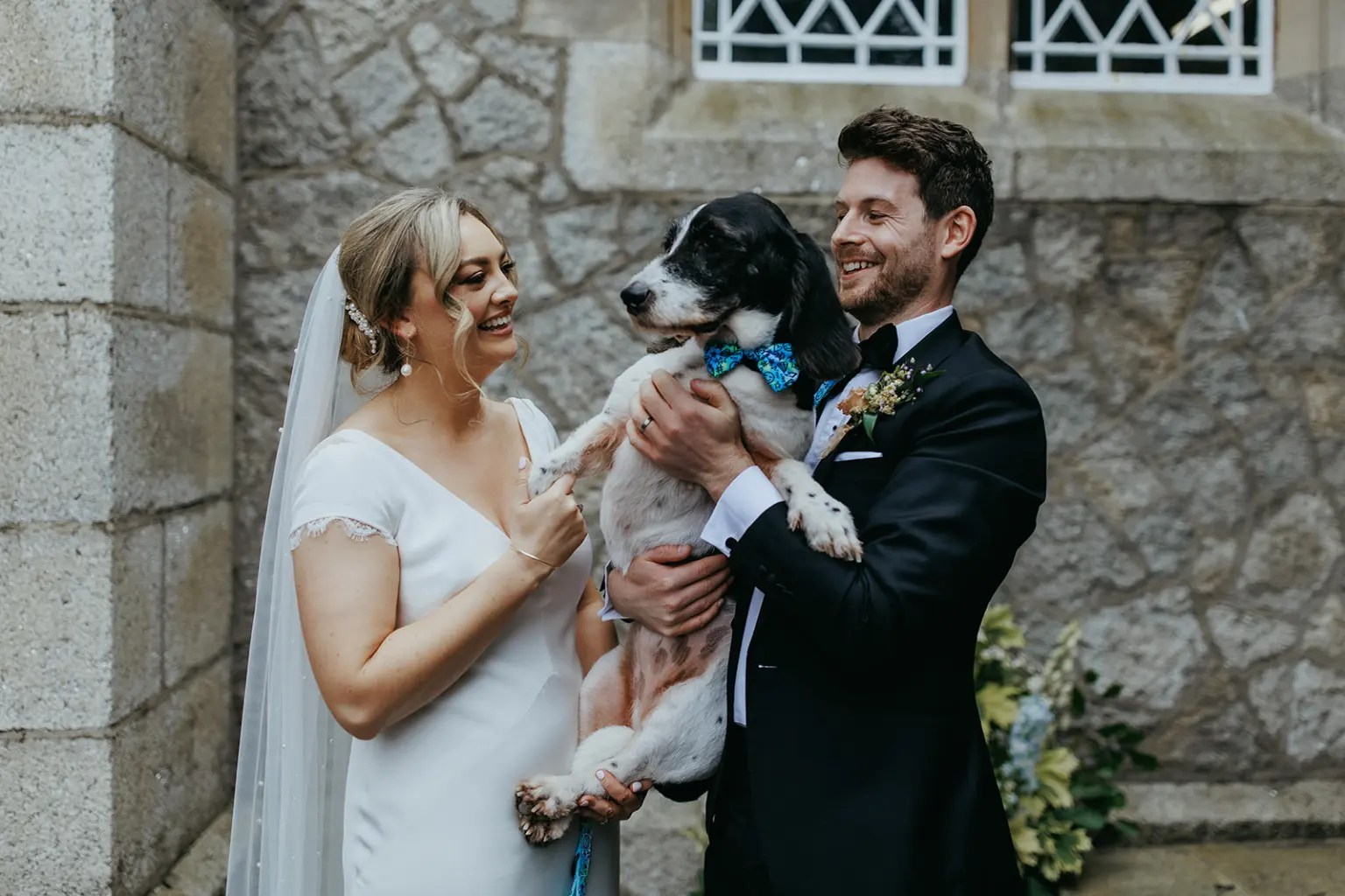 How Falling in Love is Like Owning a Dog